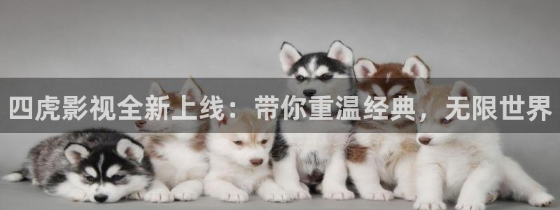 斛珠夫人电视剧星空影院