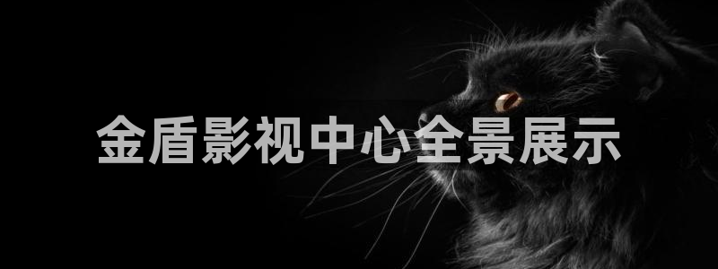 星空影院在线观看免费完整版：金盾影视中心全景展示