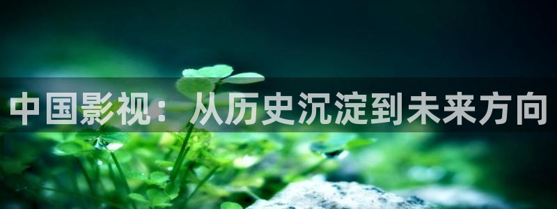 星空影院在线下载：中国影视：从历史沉淀到未来方向